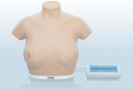 電子乳腺癌觸診、視診訓(xùn)練模型