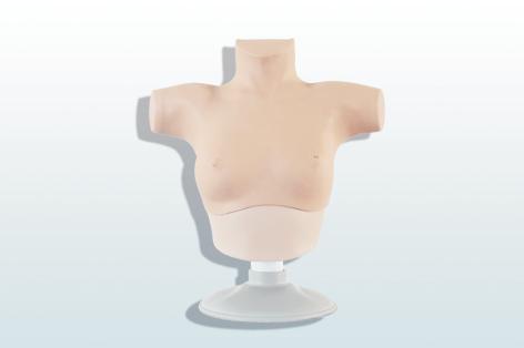 乳腺癌觸診、視診訓(xùn)練模型